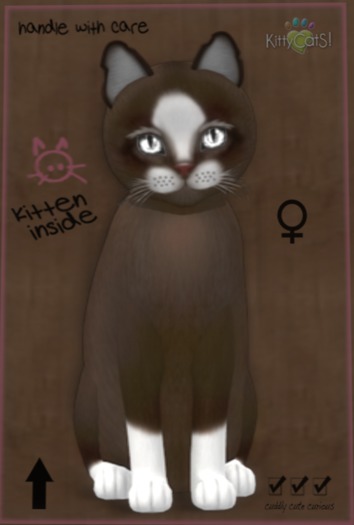 ♀  9T Chateau Coffee & Cream No 1 Crystal Clear Mysterious Small Twinkle Boo Boo Odyssey Boo Boo 2 Tone Boo Boo