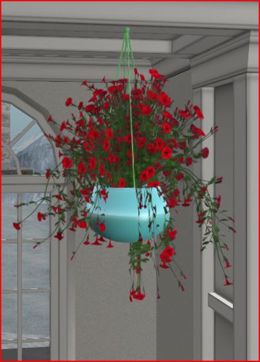 Red Flower in hanging Pot, Decoration 