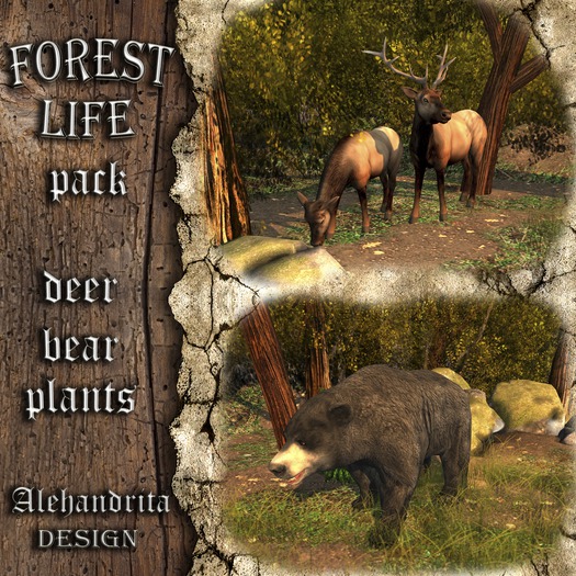 ::AD:: Forest Life - PACK