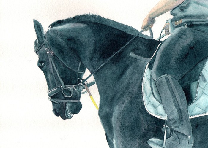 Friesian X 2