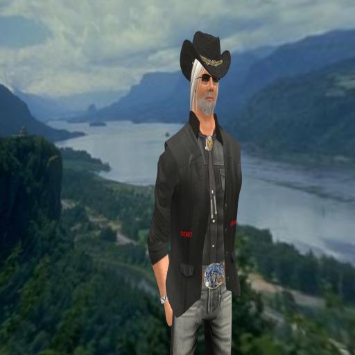 With Pockets Demo - Mens Vest
