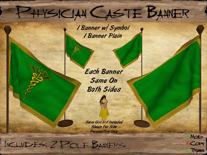 Physician Pole Flag (MP) (tgc1899)