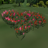 Multicolor Valentine Flower Solid Heart Field
