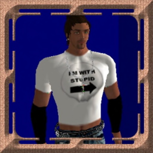 T-Shirt Iam with stupid