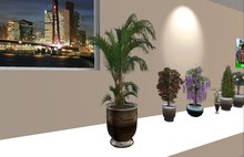 Palm Potted Plant 3 prims