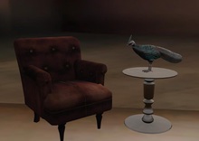 HHVET Victoriana- Plush Armchair & Peacock Table