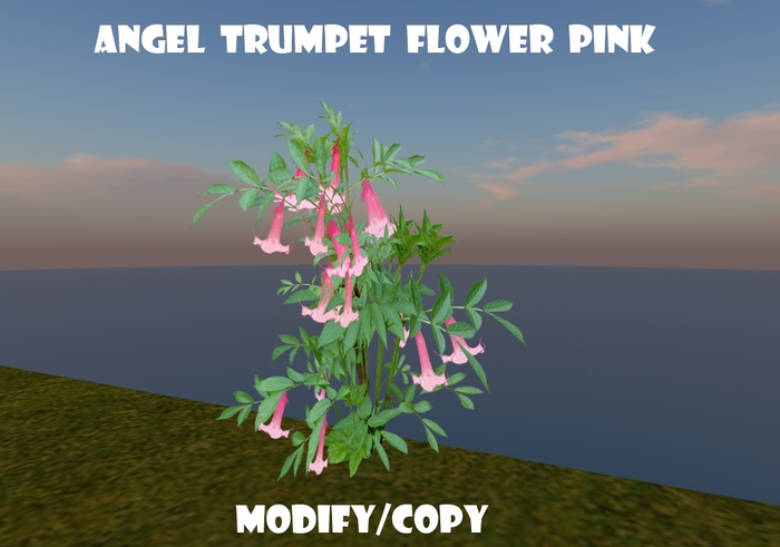 1 Prim Angel Trumpet Flower Pink