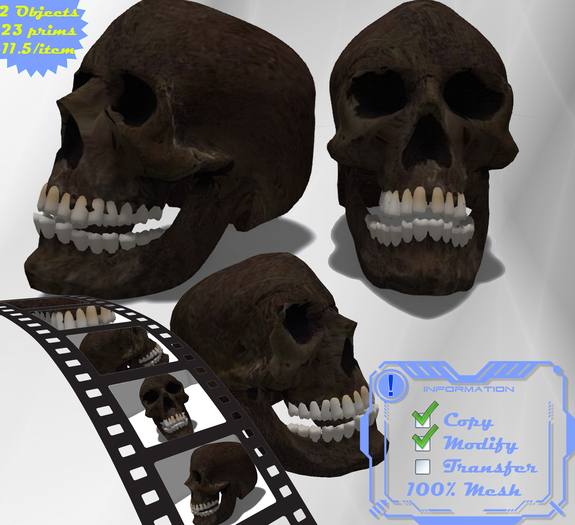 Mesh Skull by Perez Falconer Boxed