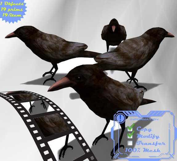 Mesh Raven By Perez Falconer Boxed
