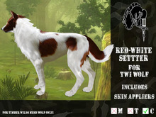 *CMFL* Red-White Setter (boxed)