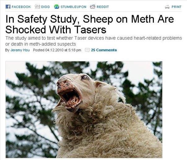 calm your sheep