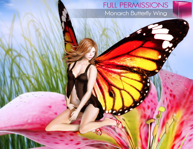 MI960298 MI Monarch Butterfly Wing