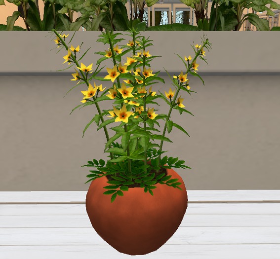 Potted Plant 1