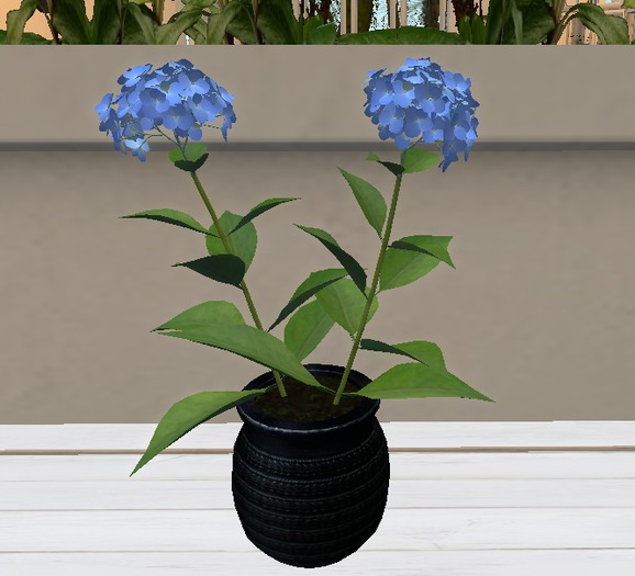 Potted Plant 2