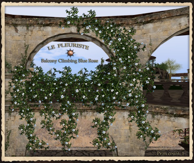 Fleuriste*BalconyBlueRose