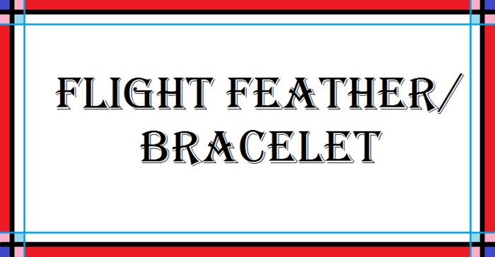 Flight Feather/Bracelet -box-