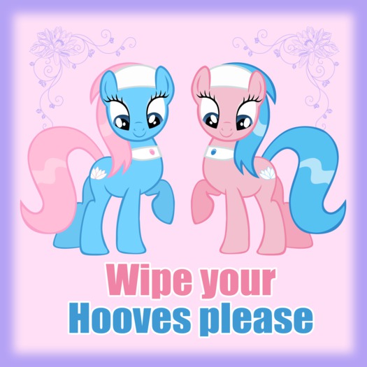 Aloe & Lotus Wipe your hooves mat