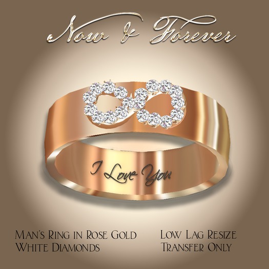 Exquisite Now & Forever Bridal Set Platinum (box)