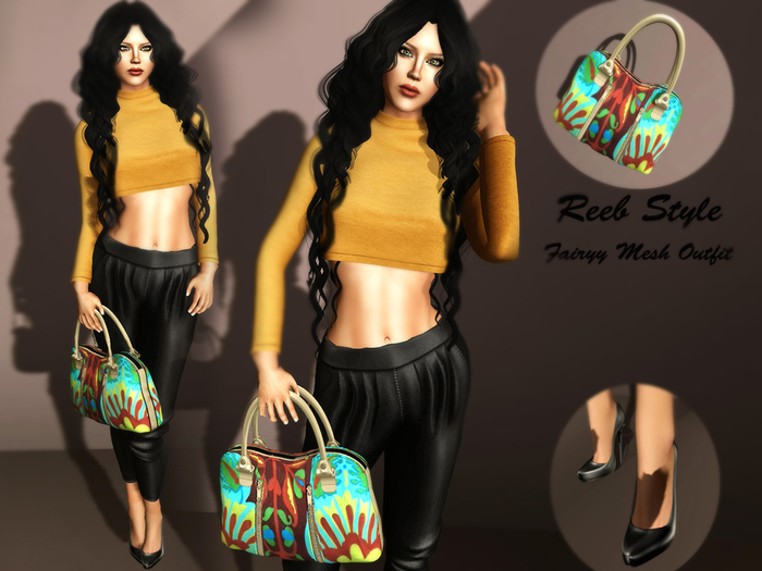 20-Reeb Style Fairyy Mesh Outfit
