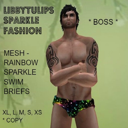 * Boss * Rainbow Sparkle Swim Briefs - Mesh