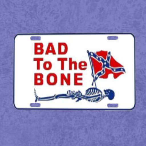 Bad to the Bone License Plate