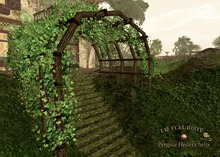 Fleuriste*Archway Hedera