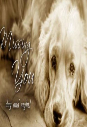 Miss you card 105
