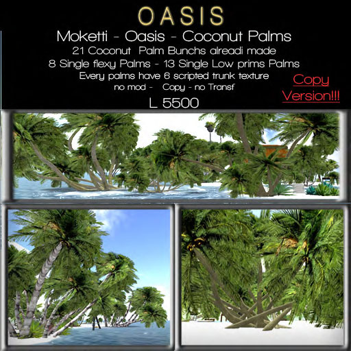 Moketti - Oasis - Copy Coconut  Palms  Pack