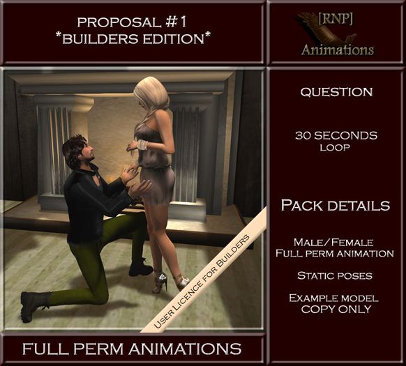 [RNP] Proposal #1_Question - Full Perm Animation