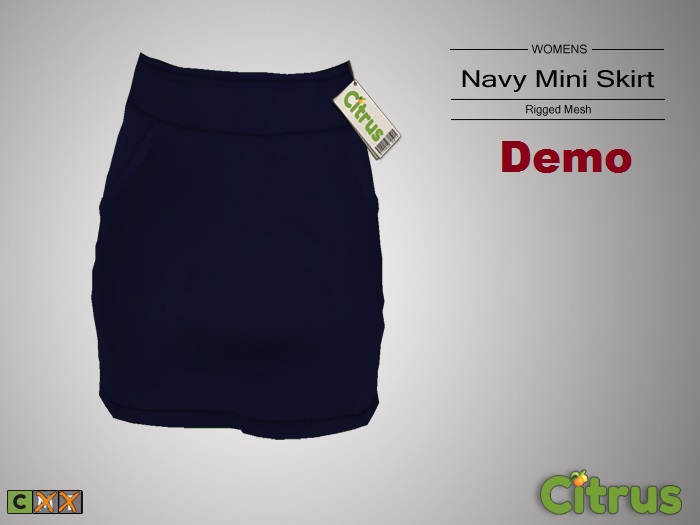 Citrus Navy Mini Skirt