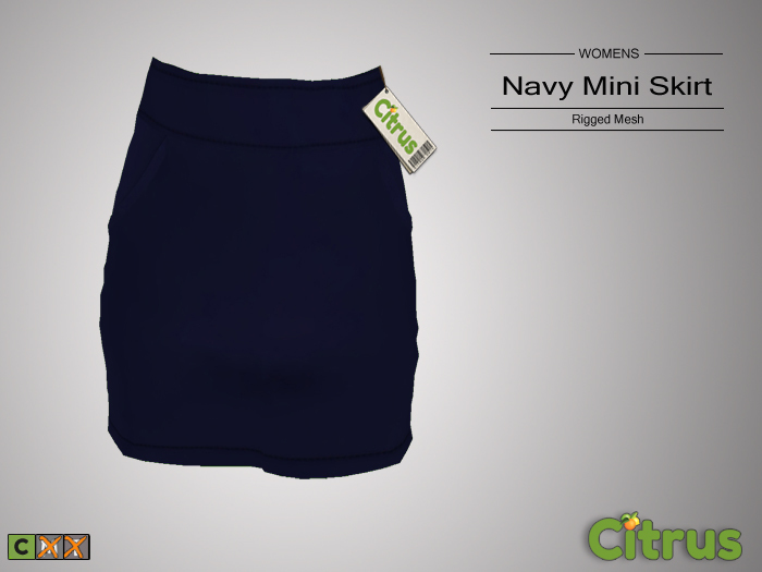 Citrus Navy Mini Skirt