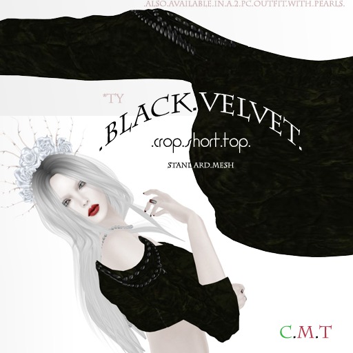 ::TY::Black Velvet top 