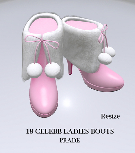 18 CELEBB LADIES BOOTS BOX