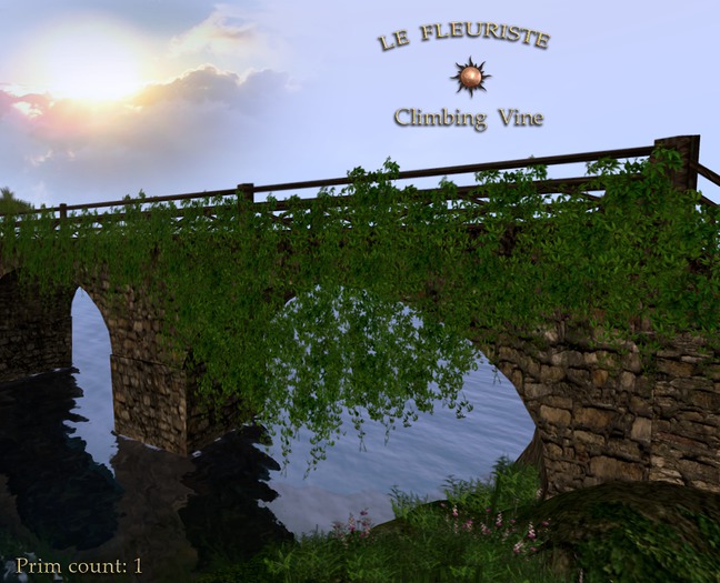 Fleuriste*WallClimbing Vine