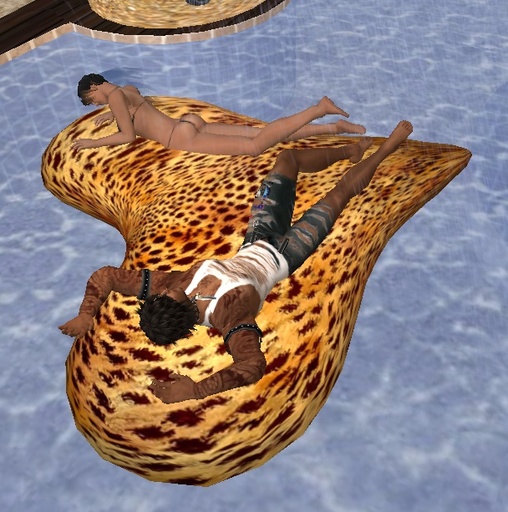 Heart sunbed Jaguar