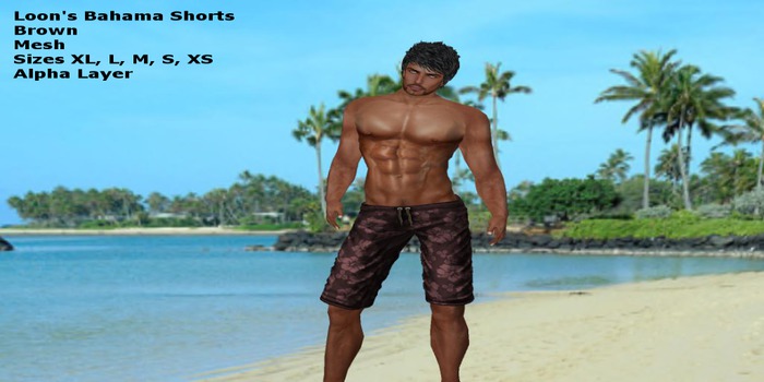 Loon's Mens Sweater Demo