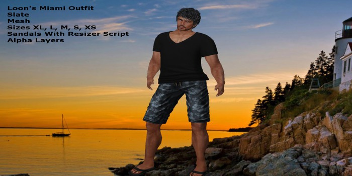 Loon's Mens Sweater Demo