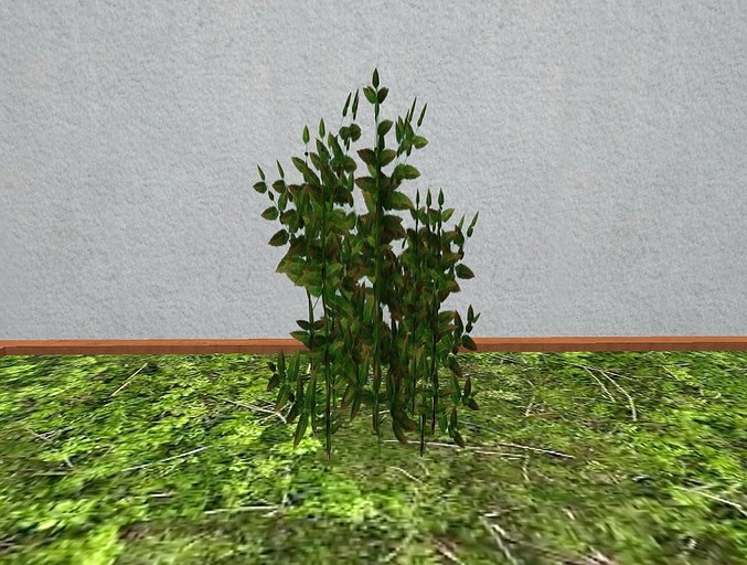 1prim Sculpted Plant, Version36 Transfer