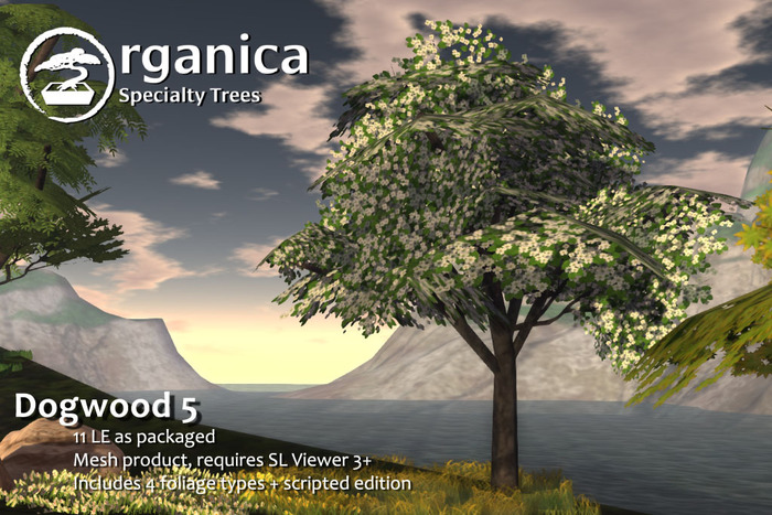 [ Organica ] Dogwood 5 (MC)