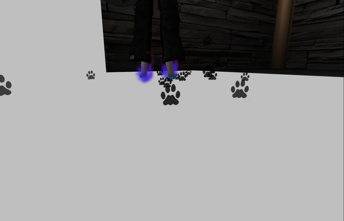 black pawprints
