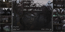 ~*SR*~ Into Dark Woods - Set All Inclusive Box