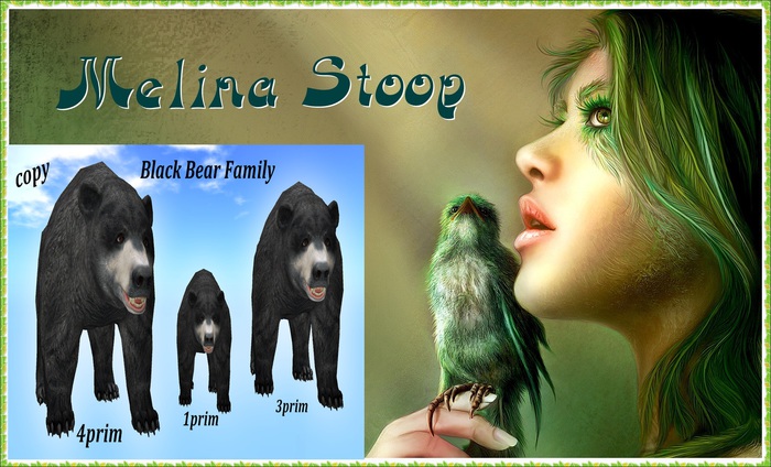 Black bear Family  ( MP )