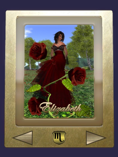 Photo Viewer 3x4 - Gold