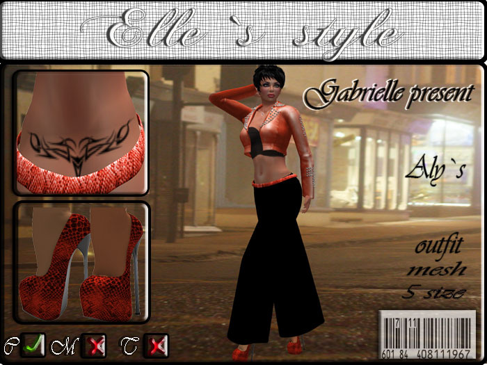Elle`s style Aly`s outfit