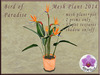Mesh plant 2014 bird of paradise