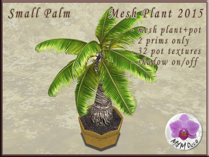 Little Palm