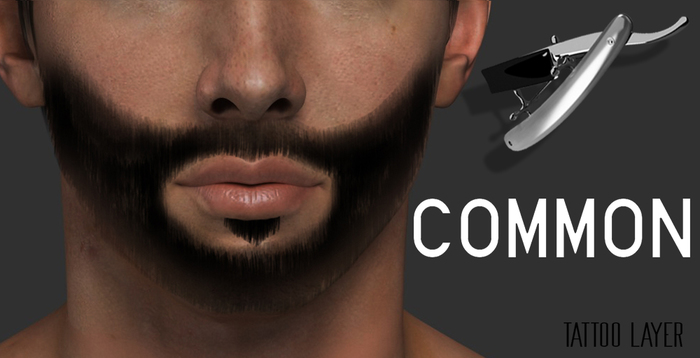 [cda] Common Beard