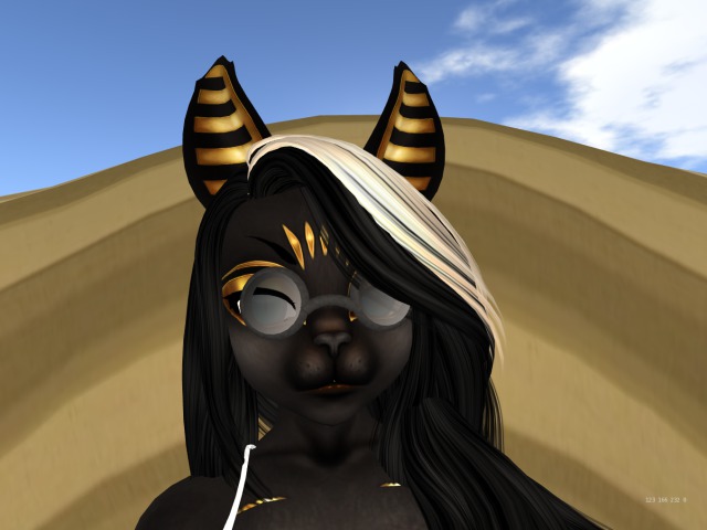 morpheus sun glasses