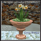 Cosmos daffodils and snowdrops in Pedestal Planter 1 BOX