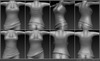 360 mesh preview